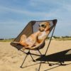 Dog sitting in KAMUI portable chair