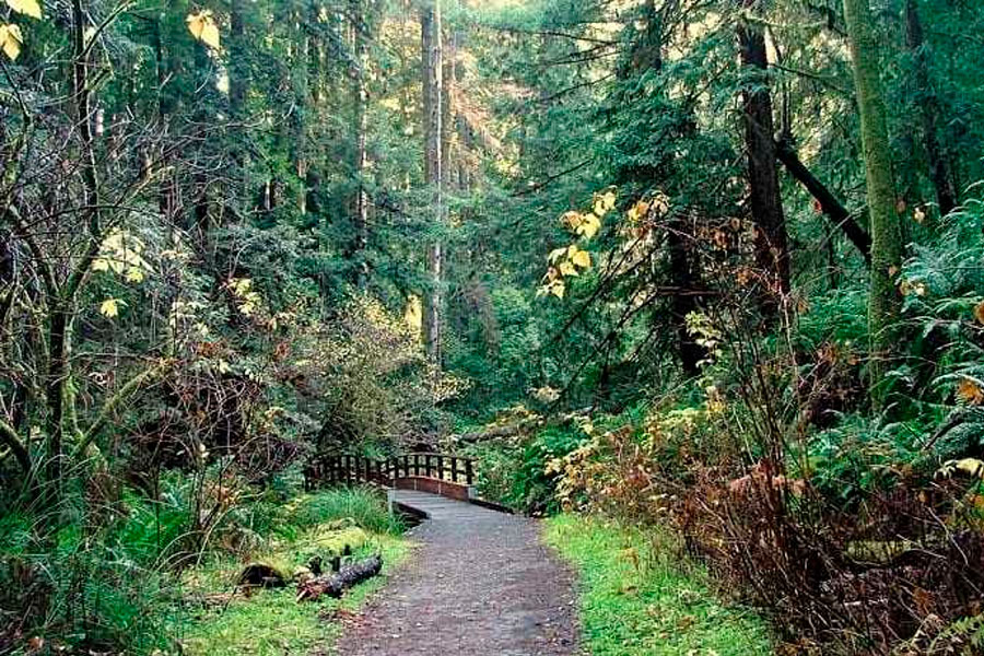 Van Damme State Park, Little River