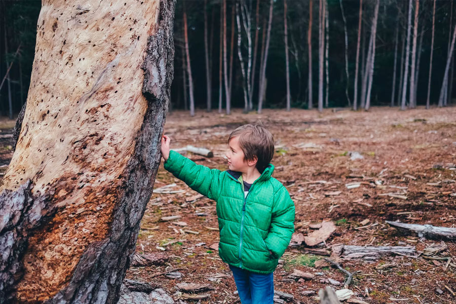 boy alone in woods