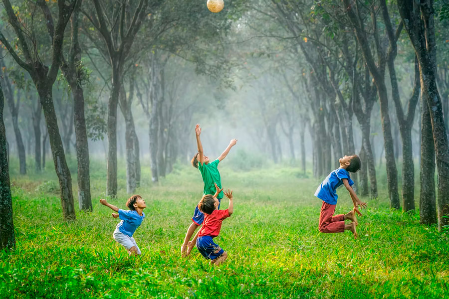 kids playing with ball in forest 