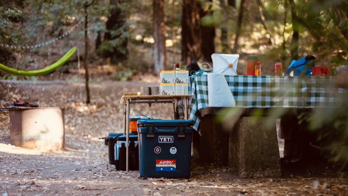 national park picnic