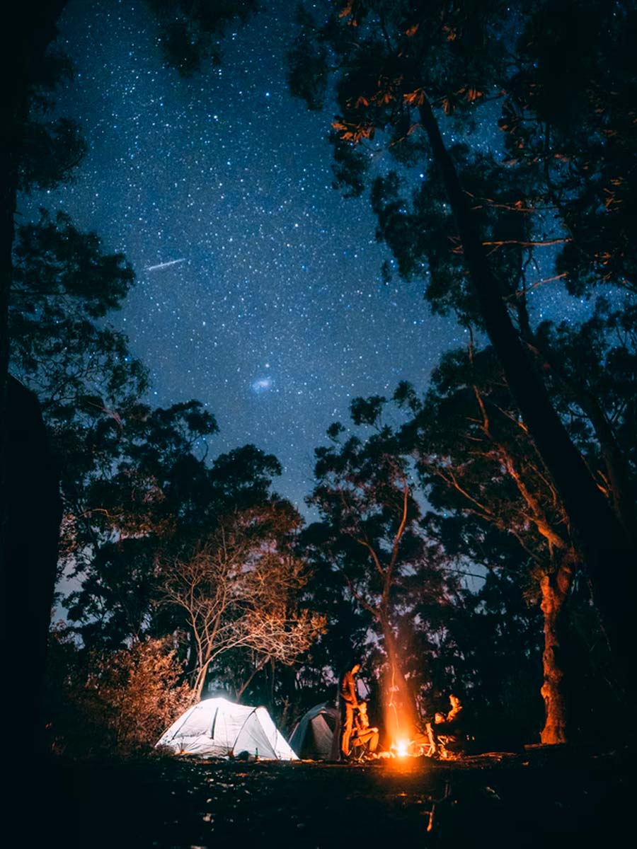 night camping