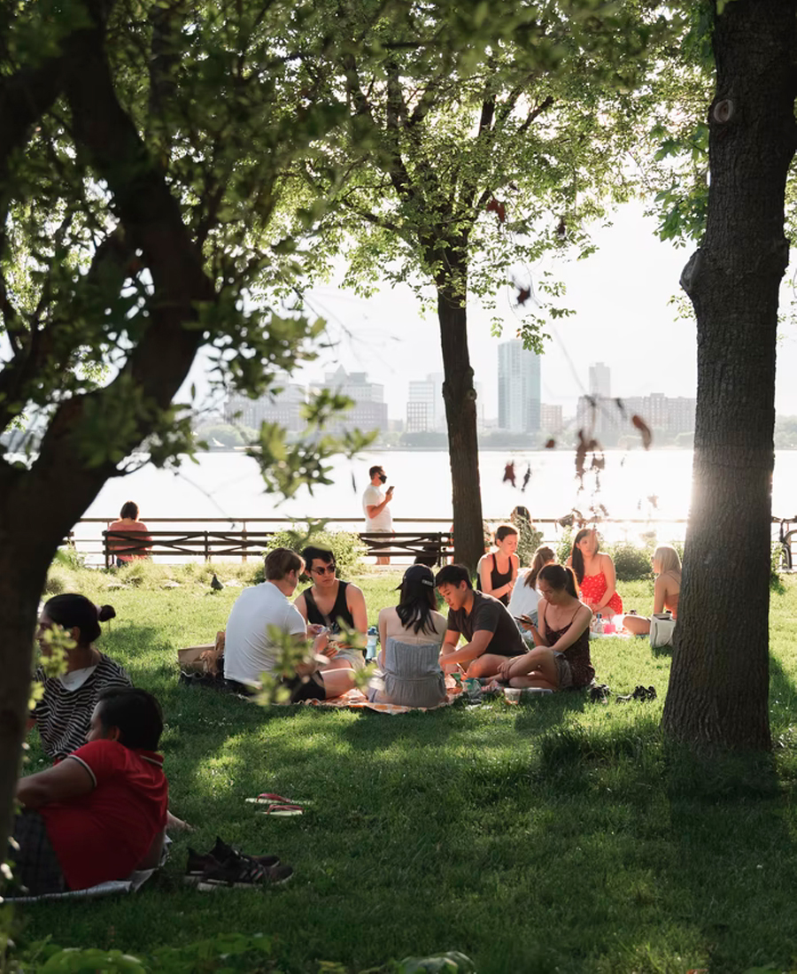 picnic in park